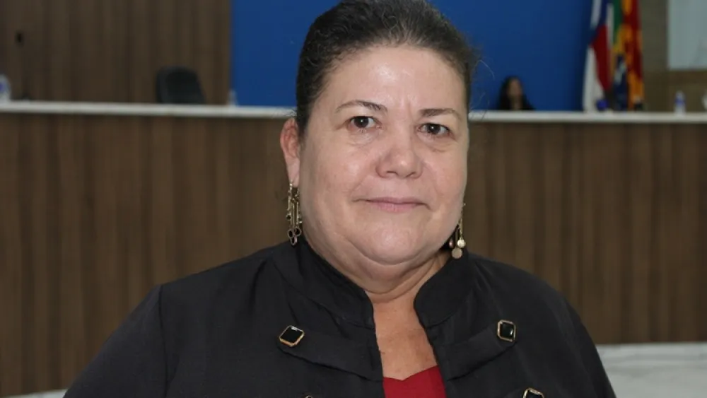 Verimar Meira sugere criação de programa municipal de incentivo à apicultura e à melipolinicultura