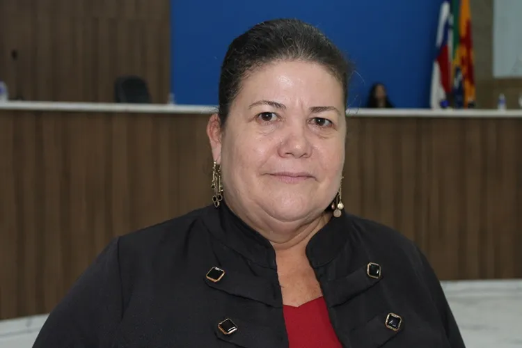 Verimar Meira sugere criação de programa municipal de incentivo à apicultura e à melipolinicultura